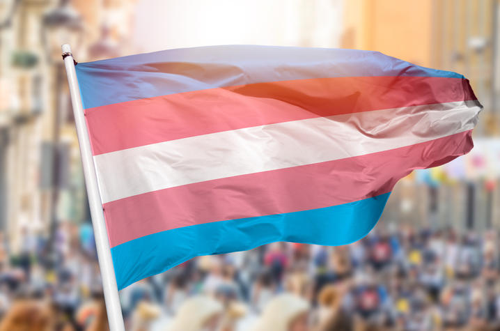 trans flag