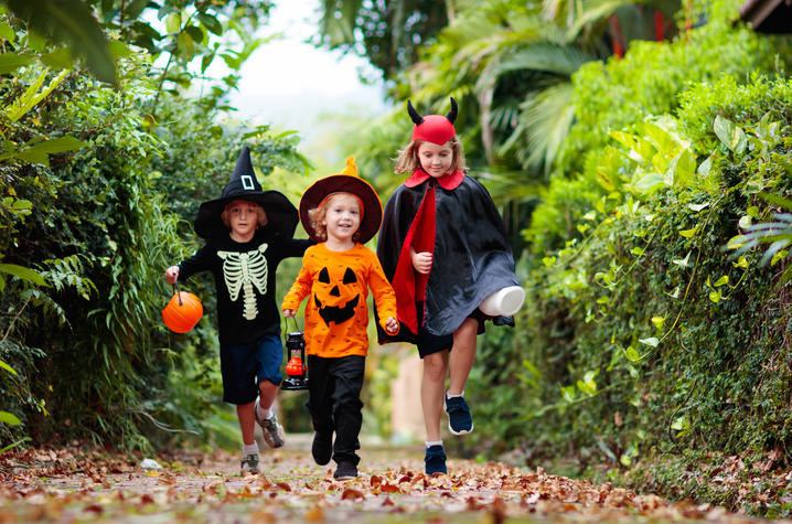 FamVeld, iStock/Getty Images Plus FamVeld, iStock/Getty Images Plus