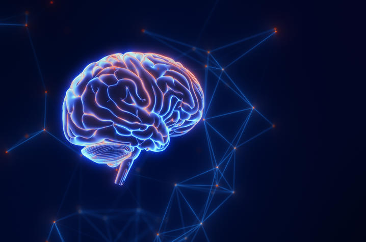 graphic illustration of brain