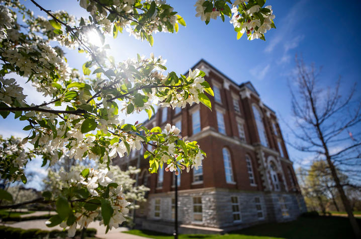 photo of Gillis Building with flowering tree in foreground