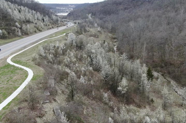 Large rotational landslide, or slump, along Highland Pike in Kenton County.