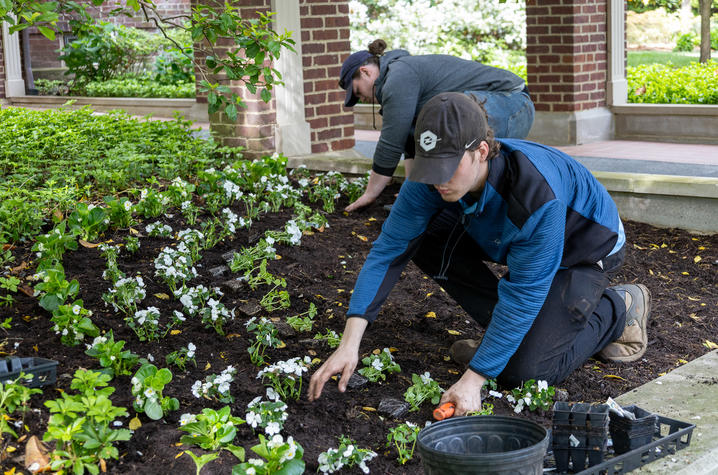 Grounds team members Alastair Norman and Willy Taylor plant flowers at Maxwell Place.