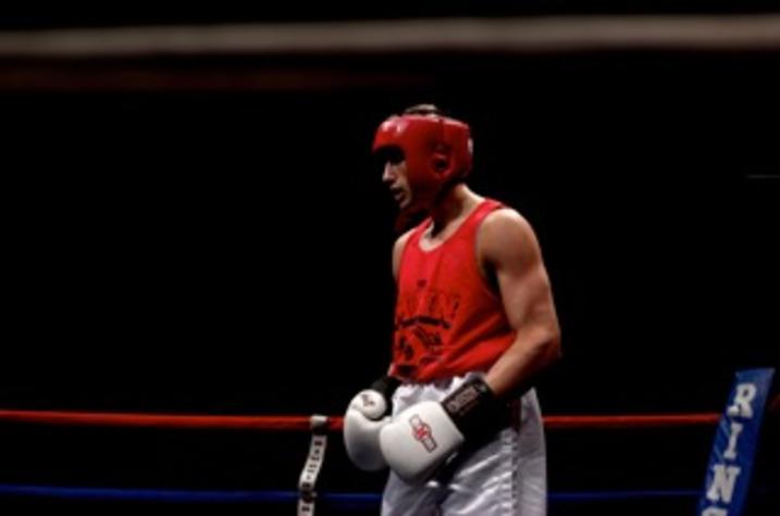 photo of boxer