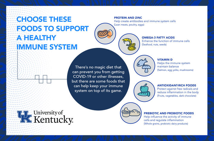 Immune System infographic