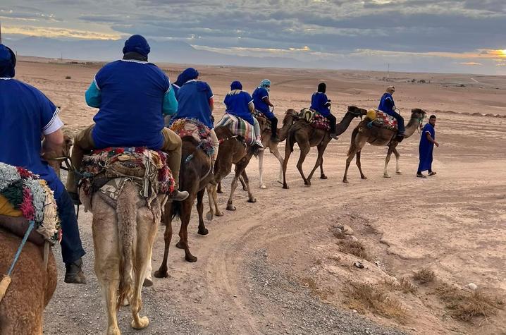 KALP 12th class on camels 