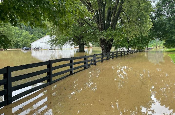 Extensive flooding and damage 