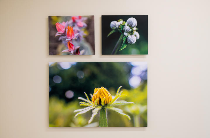 three images of flowers