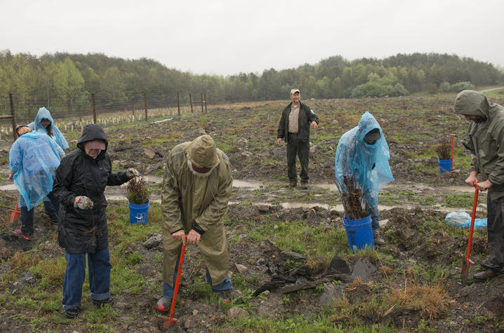 photo of volunteers planting trees 