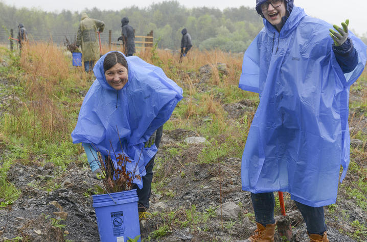 photo of volunteers planting trees 