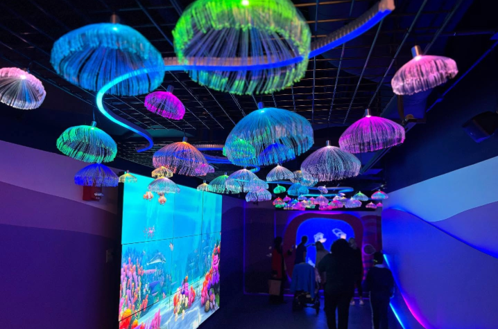 Hall and her team mimicked a glowing jellyfish with their design used to hide HVAC piping is Newport Aquarium’s Jellies: Go With The Flow exhibit's ceiling. Photo courtesy of Newport Aquarium social media. 