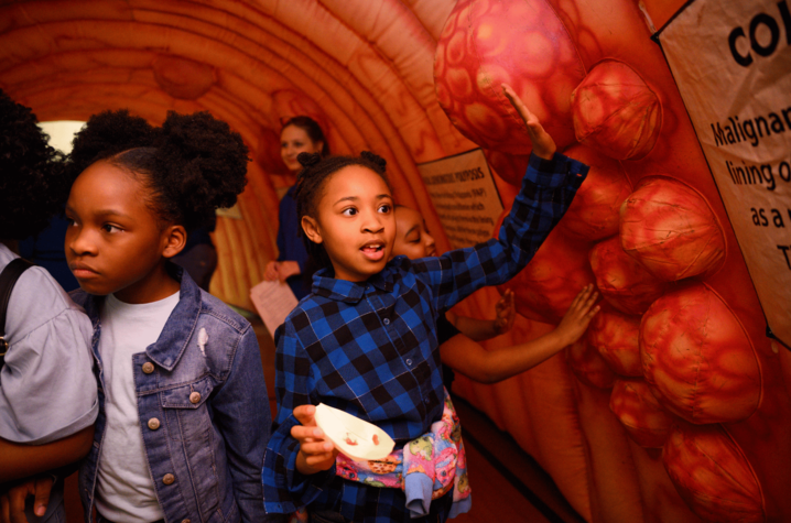 Children explore a walk‑through colon exhibit, touching and examining large models of the intestinal lining.