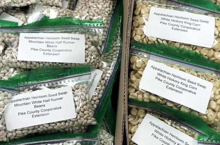  Free seeds 