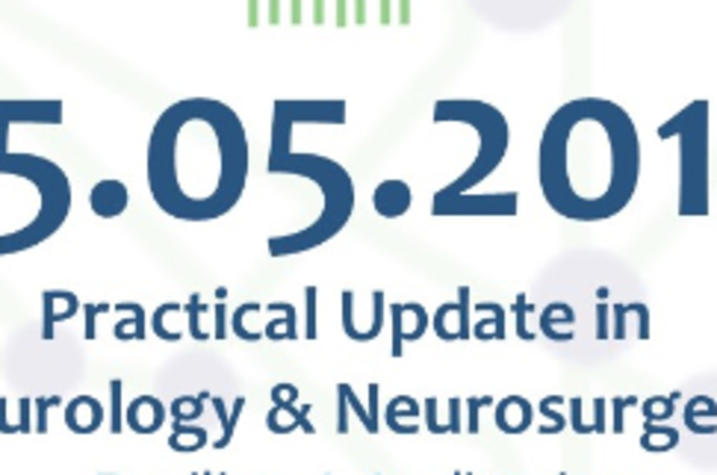 The 2017 Practical Update in Neurology and Neurosurgery