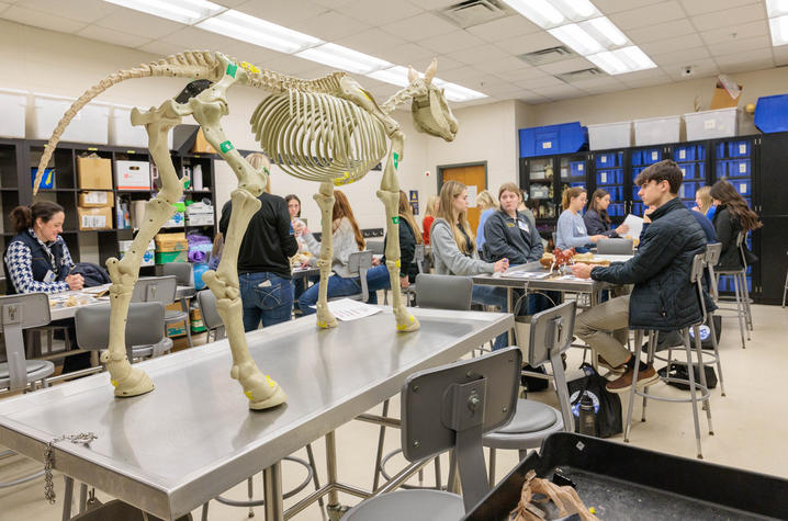 A veterinary or biology classroom with several people seated at lab tables. In the foreground, there is a full-size animal skeleton model standing on a metal table. 