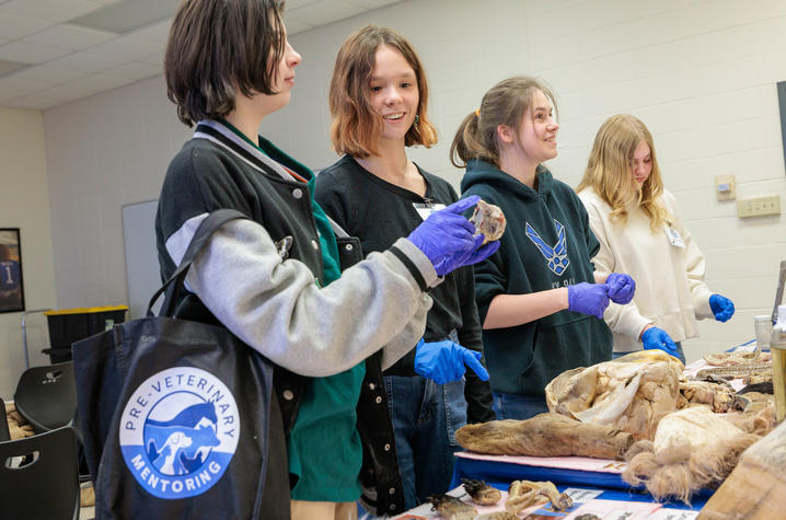Several people stand at a table covered with animal specimens and lab materials in a classroom setting. They wear gloves and appear to be examining or handling the items.