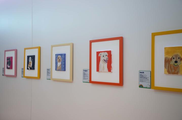image of colorful dog portraits hanging on the wall