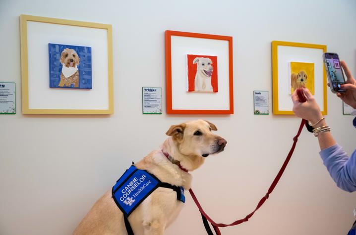 image of dog posing in front of their portrait