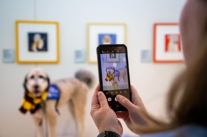 image of person taking a photo of a dog dressed as Harry Potter