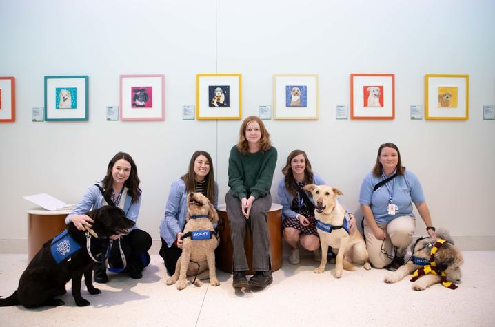 image of Katie with the therapy dogs and their portraits