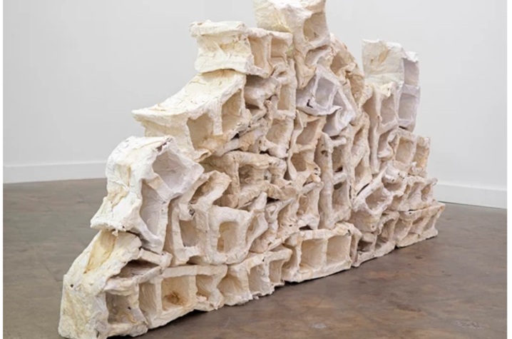 Thesis gallery showcase picture