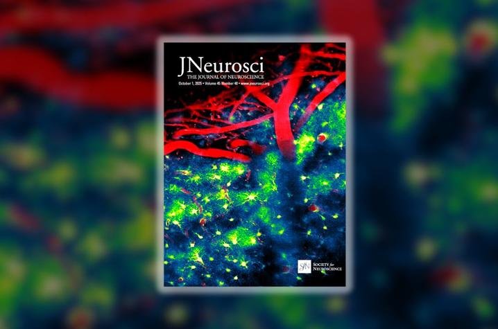 Sanders-Brown Journal of Neuroscience Cover a microscopic view of brain cells colored red, blue and bright green