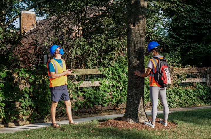 Students take measurements on a street tree as part of a previously funded Challenge Grant Project that focused on preparing urban forests for a changing climate.