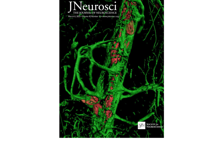 The cover of Journal of Neuroscience Vol. 43, Issue 10 8 March 2023