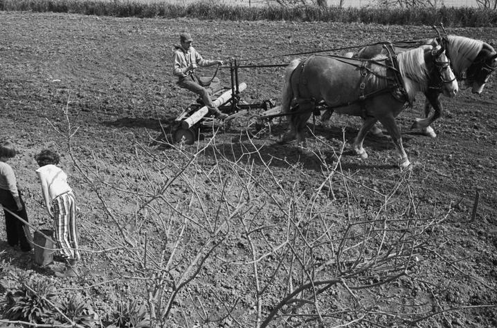 photo of farm work "Look and See" documentary