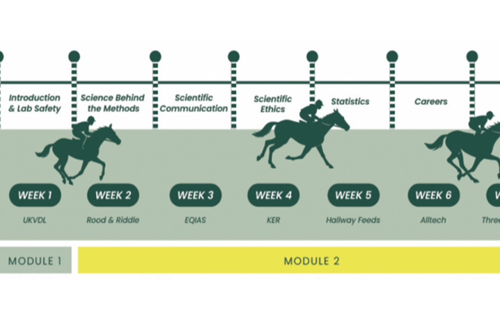 Timeline-style infographic showing an eight-week educational program divided into three modules. Weeks 1 through 8 are displayed across the center with horse-and-rider silhouettes progressing along the timeline. Topics above the timeline include Introduct