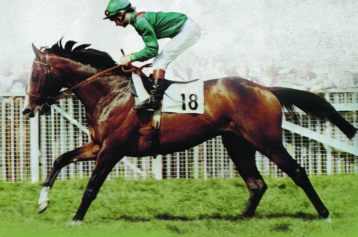 photo of cover of "Taking Shergar: Thoroughbred Racing's Most Famous Cold Case" by Milton C. Toby