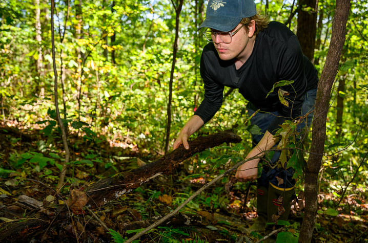 William Taylor searches for salamanders