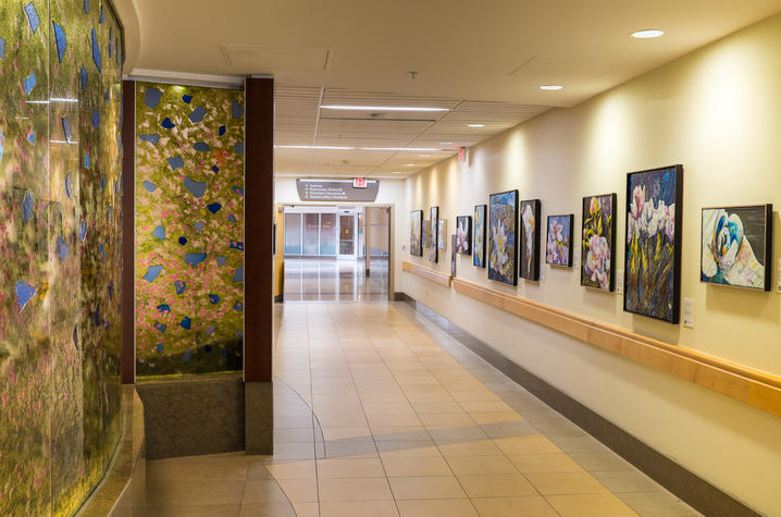 image of flower paintings in gallery