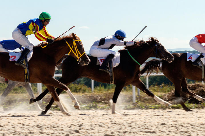 Horses running on a dirt track