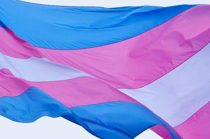 Photo of transgender flag