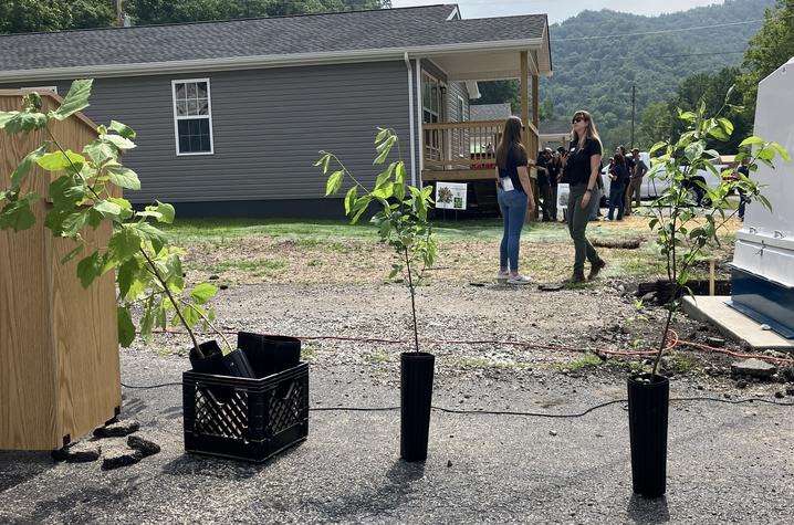 Women standing with trees for Urban Forest Initiative