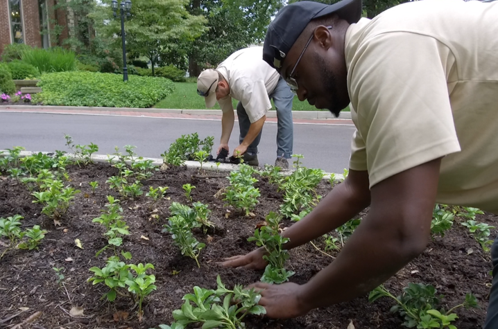 Photo of UK Grounds Crew Working to Make Campus Beautiful