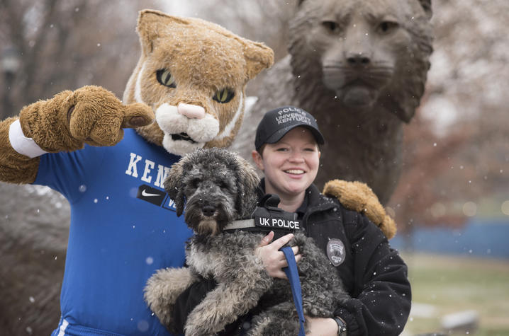photo of UK Wildcat, Oliver and Amy Boatman