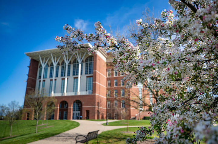 photo of W.T. Young Library with spring blooms in the foreground. Empty campus.