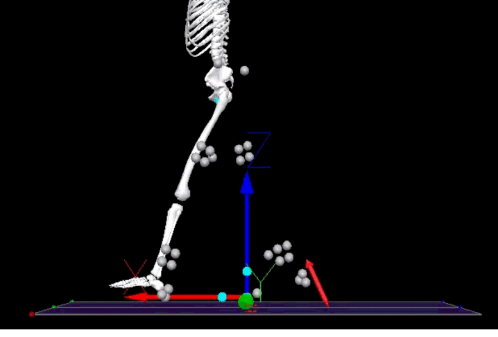 Side-view 3D motion-capture model of a human skeleton stepping forward, surrounded by tracking markers and colored arrows representing movement data.