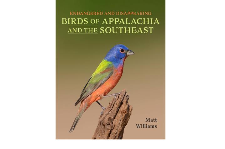 Cover of Endangered and Disappearing Birds of Appalachia and the Southeast 