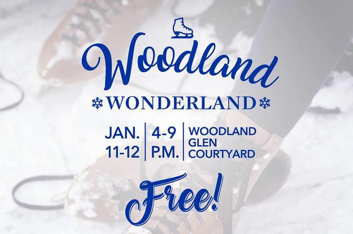 photo of Woodland Wonderland artwork