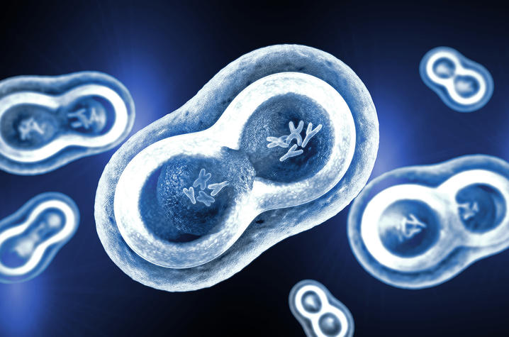 illustration of XY chromosomes