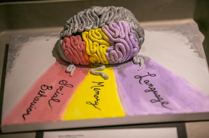 Red Velvet Brain Cake Tutorial - Parties With A Cause