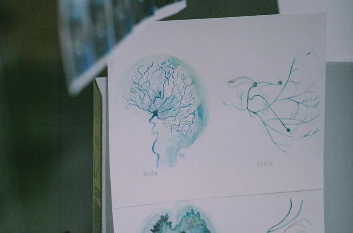 photo of watercolor brain art