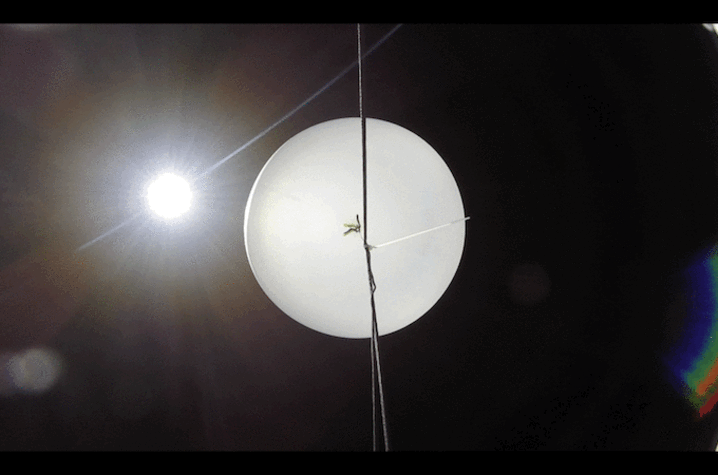 Photo of balloon bursting in space