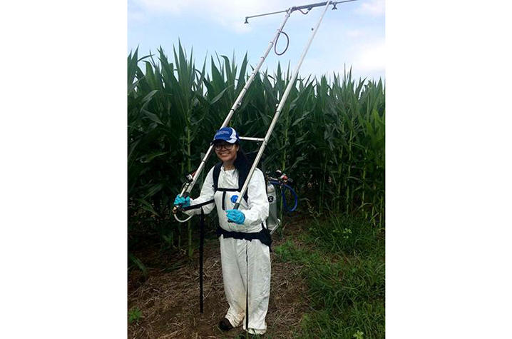Cristina Castellano uses a backpack boom to spray fungicides on a research trial at the UK Research and Education Center
