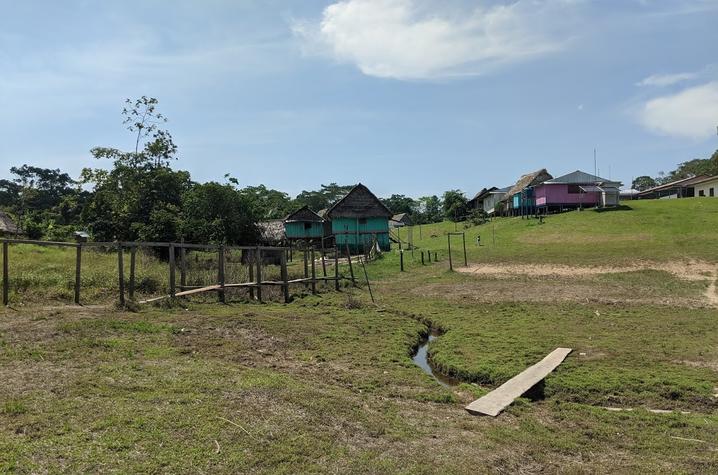 SJ733 is now in Phase II testing in Peru, thanks to partnership with Clinica Selva Amazonica. This remote clinic is only accessible by boat on the Amazon River.