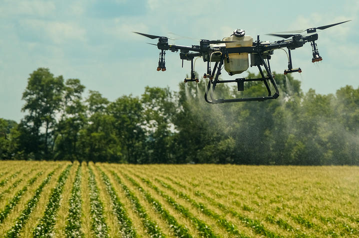 Drone flying to manage disease in field crops Drone flying to manage disease in field crops