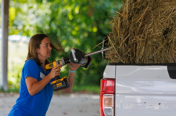 . Forage testing results Woman demonstrating the appropriate method for collecting a forage sample from a round bale of hay at an education event
