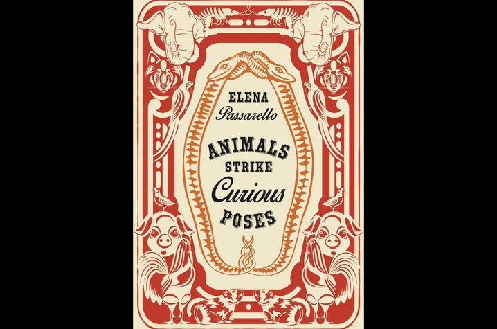 photo of cover of "Animals Strike Curious Poses" by Elena Passarello